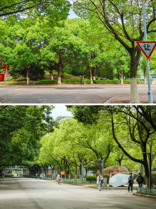 常州工程職業(yè)技術學院光影校園！ 邂逅“夏”一站美好4.png