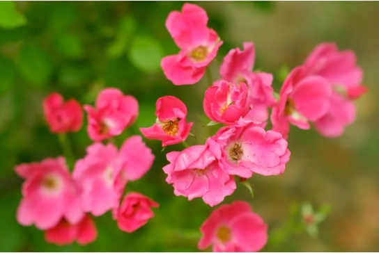 常州工程職業(yè)技術學院光影校園！ 邂逅“夏”一站美好9.png