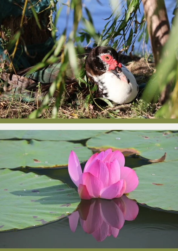 1751781119872296.png 南機(jī)電的空鏡頭詩6.png