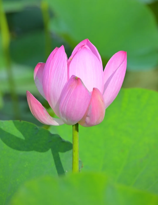 1751781125698296.png 南機(jī)電的空鏡頭詩7.png