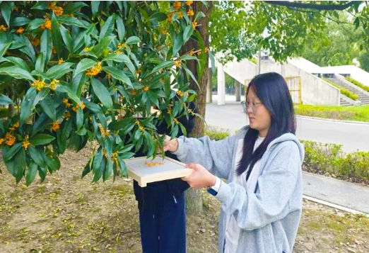 硅湖職業(yè)技術(shù)學(xué)院 從興趣出發(fā)，讓熱愛(ài)發(fā)光8.png
