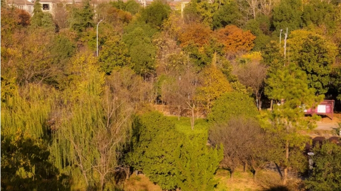江蘇衛(wèi)生健康職業(yè)學院 一年好景君須記，最是橙黃橘綠時2.jpg
