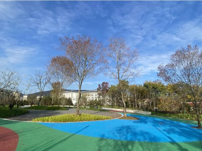 江蘇衛(wèi)生健康職業(yè)學院 一年好景君須記，最是橙黃橘綠時13.png