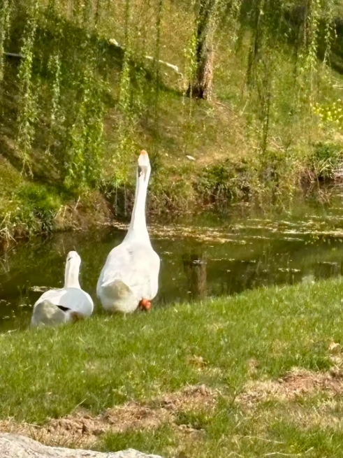 江衛(wèi)冬日集 這些藏在朋友圈里的甜，是青春的“溫度特調(diào)”6.png
