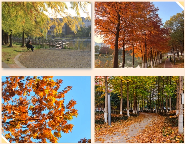 1767580802402610.png 在交院邂逅冬日里的暖3.png