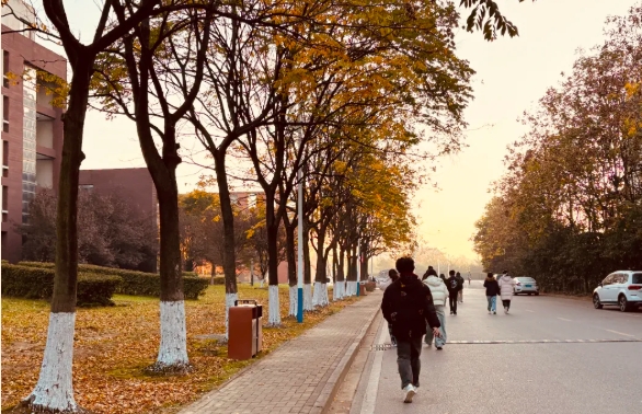 1767581037739891.png 在交院邂逅冬日里的暖16.png