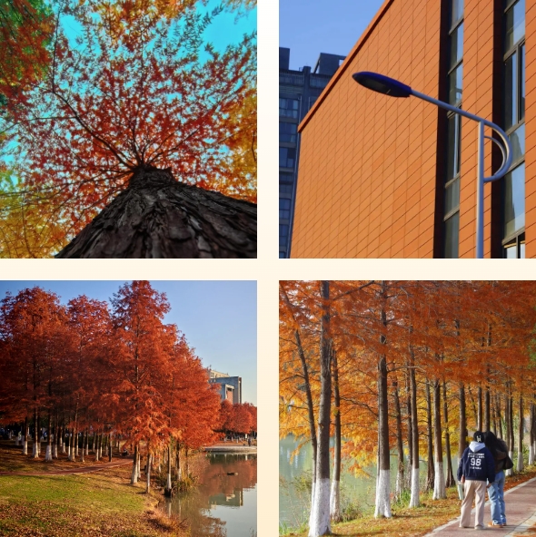 1767779861609281.png 光影交院 一場關(guān)于校園一角的靜謐凝視2.png