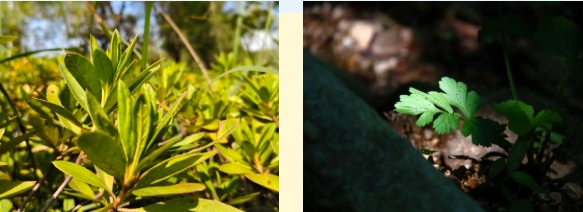 1767779956817425.png 光影交院 一場關(guān)于校園一角的靜謐凝視12.png