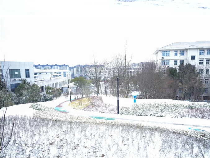 瓊花綴白衣 江蘇衛(wèi)生健康職業(yè)學(xué)院的浪漫雪日記憶7.png