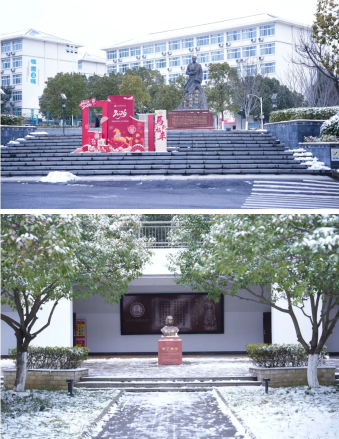 瓊花綴白衣 江蘇衛(wèi)生健康職業(yè)學(xué)院的浪漫雪日記憶8.png