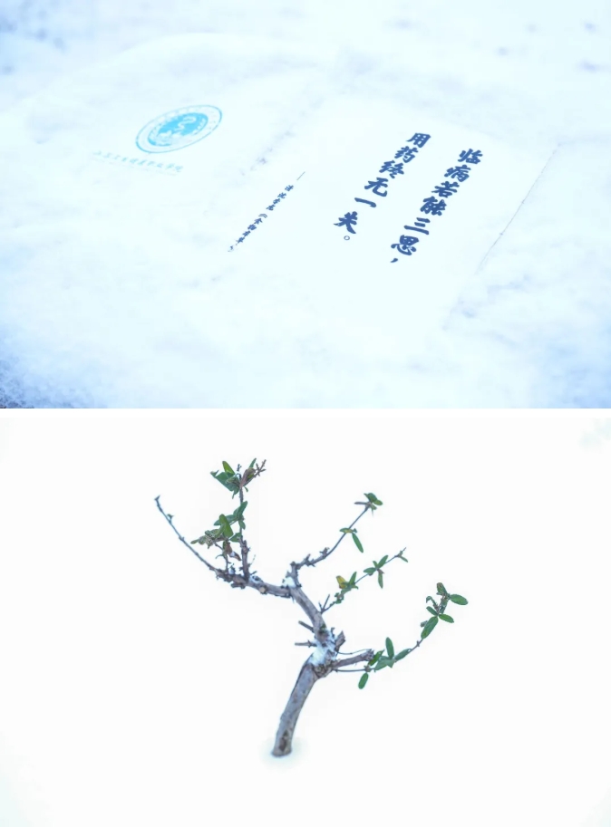 瓊花綴白衣 江蘇衛(wèi)生健康職業(yè)學(xué)院的浪漫雪日記憶13.png