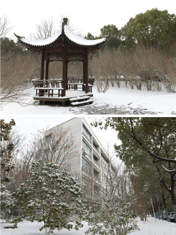 臻美鹽幼 當(dāng)鹽幼遇上初雪4.png