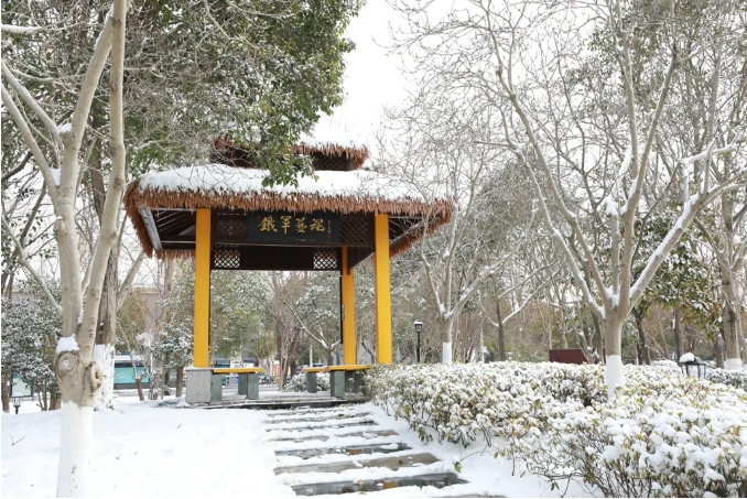 臻美鹽幼 當(dāng)鹽幼遇上初雪7.png