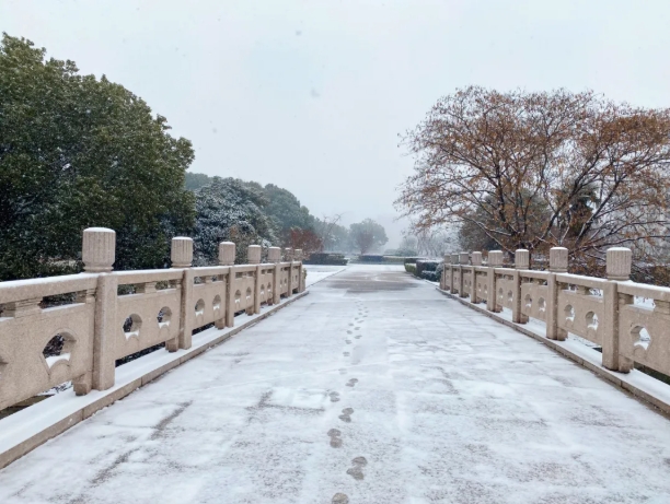 初雪治愈，靜謐如畫！常州工程學(xué)院披上冬日銀裝！4.png