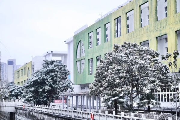 初雪治愈，靜謐如畫！常州工程學(xué)院披上冬日銀裝！8_副本.jpg