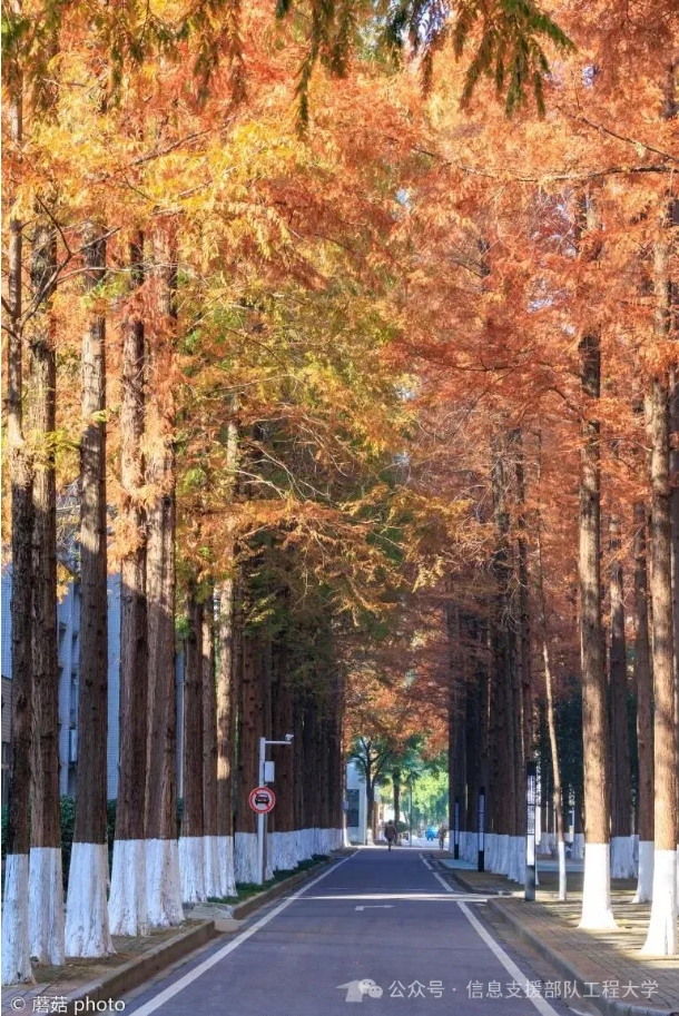 【鏡】遇信息支援部隊工程大學(xué)，帶你領(lǐng)略軍校里的春夏秋冬15.png