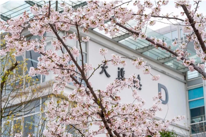 1773370142155128.png 蘇州工業(yè)職業(yè)技術(shù)學(xué)院9.png